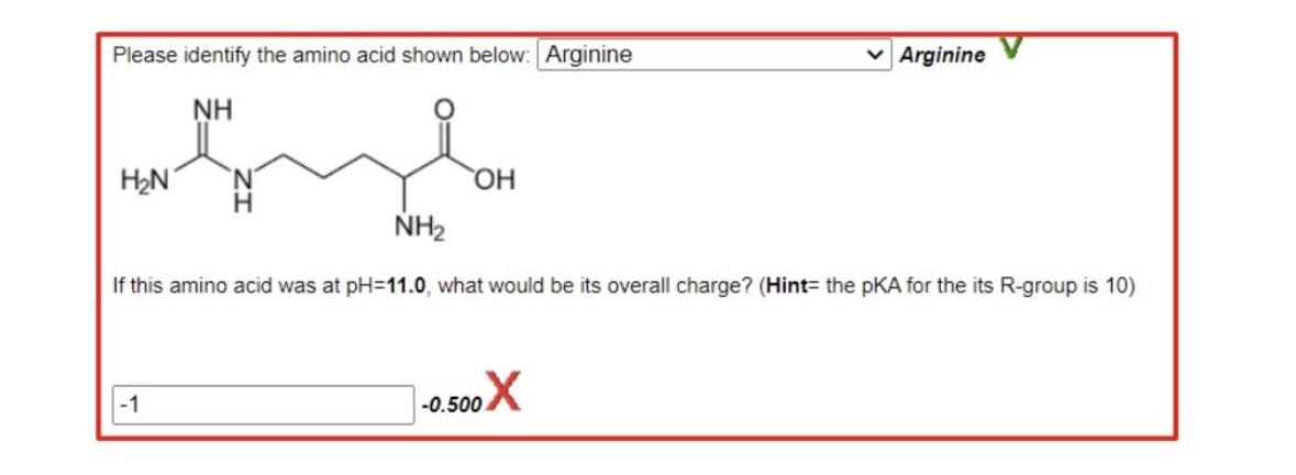 Please identify the amino acid shown below: Arginine
NH
H₂N
NH₂
-1
OH
If this amino acid was at pH=11.0, what would be its overall charge? (Hint= the pKA for the its R-group is 10)
Arginine
-0.500X