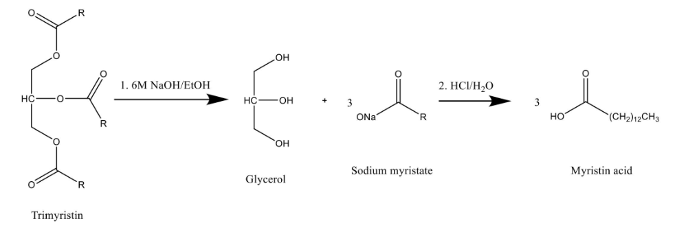 HC
·O·
R
R
Trimyristin
R
1. 6M NaOH/EtOH
HC
OH
OH
OH
Glycerol
+
3
ONa
R
Sodium myristate
2. HCI/H₂O
3
HO
(CH2)12CH3
Myristin acid
