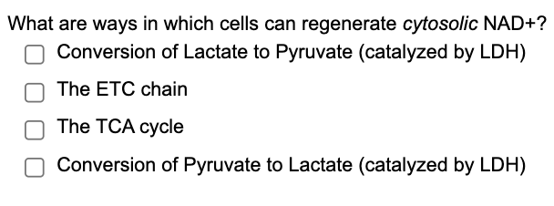 What are ways in which cells can regenerate cytosolic NAD+?
Conversion of Lactate to Pyruvate (catalyzed by LDH)
The ETC chain
The TCA cycle
Conversion of Pyruvate to Lactate (catalyzed by LDH)