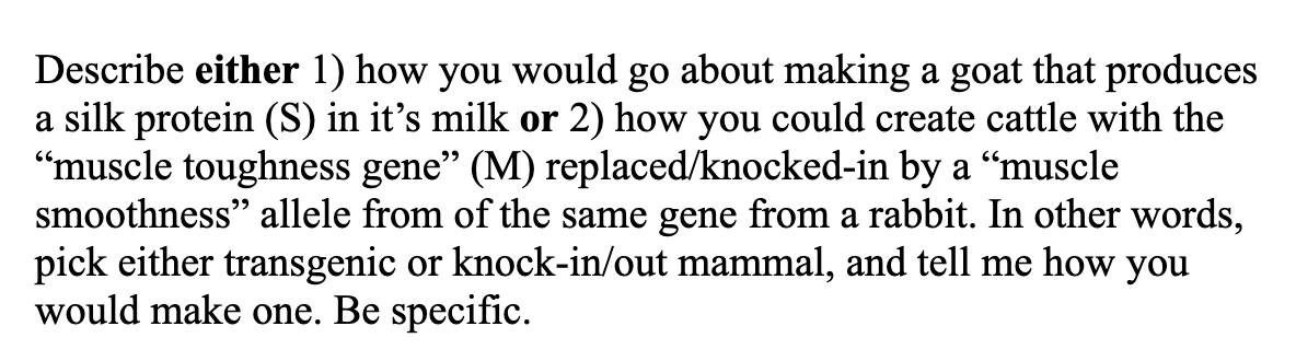 Describe either 1) how you would go about making a goat that produces
a silk protein (S) in it's milk or 2) how you could create cattle with the
"muscle toughness gene" (M) replaced/knocked-in by a "muscle
smoothness" allele from of the same gene from a rabbit. In other words,
pick either transgenic or knock-in/out mammal, and tell me how you
would make one. Be specific.