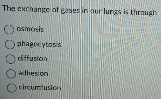 The exchange of gases in our lungs is through
osmosis
phagocytosis
diffusion
adhesion
circumfusion