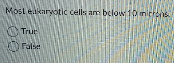 Most eukaryotic cells are below 10 microns.
True
False