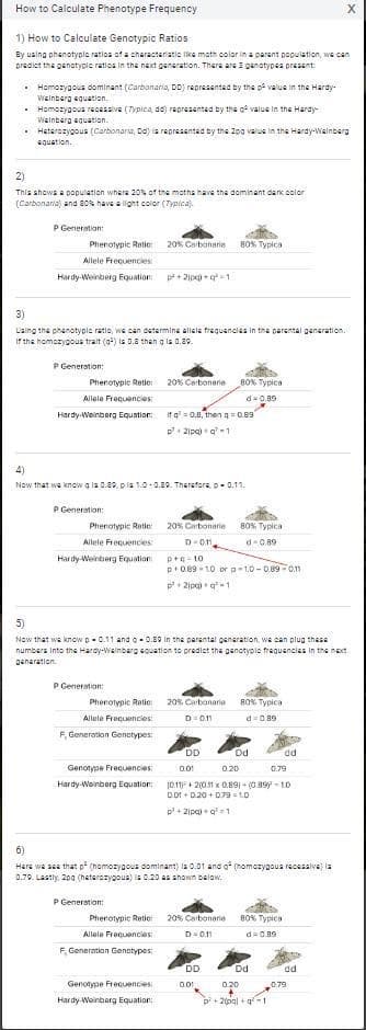 How to Calculate Phenotype Frequency
1) How to Calculate Genotypic Ratios
By using phenotypic ratios of a characteristic like math color in a parent population, we can
predict the genotypic ratios in the next generation. There are 3 genotypes present
.
Homozygous dominant (Carbonaria, DD) represented by the p value in the Hardy-
Weinberg equation.
▪ Homozygous recessive (Typica, do) represented by the of value in the Hardy
Weinberg aquation.
Heterozygous (Carbonaria, Da) is represented by the 200 value in the Hardy-Weinberg
equation.
2)
This shows a population where 20% of the moths have the dominant dark color
(Carbonaria) and 20% have a light color (Typica).
P Generation:
Phenotypic Ratio 20% Carbonarie
Allele Frequencies
Hardy-Weinberg Equation
P Generation:
3)
Using the phenotypic ratio, we can determine allele frequencies in the parental generation.
If the homozygous tralt (a) is 0.8 than a la 0.89.
Phenotypic Retic: 20% Carbonarie
Allele Frequencies
Hardy-Weinberg Equation:
P Generation:
Allele Frequencies
Hardy-Weinberg Equation
Phenotypic Ratio: 20% Carbonarie
D-011,
4)
Now that we know a la 0.89, pla 1.0-0.89. Therefore, p=0.11.
P Generation:
p²+210)q²-1
Allele Frequencies:
F, Generation Genotypes
Genotype Frequencies:
Hardy-Weinberg Equation:
ifa=0.8, then q
p2|pq) q-1
Phenotypic Ratio: 20% Carbonaria
D 0.11
P Generation:
5)
Now that we knowp-0.11 and 0-0.89 in the parental generation, we can plug these
numbers into the Hardy-Weinberg equation to predict the genotypic frequencies in the next
generation.
F Generation Genotypes:
Genotype Frequencies:
Hardy-Weinberg Equation:
HOA TY CH
DD
p+c-10
p+ 0.89-10 or p-1.0-0.89-0.m
p²2jpg) q-1
Phenotypic Retic 20% Carbonarie
Allele Frequencies
D=0.11
ĐƠN TY DỊCH
d-0.89
0.89
DD
B0% TY DICH
d-0.89
0.01
6)
Here we see that p² (homozygous dominant) la 0.01 and of (homozygous recessive) is
0.79. Lastly, 200 (heterozygous) is 0.20 as shown below.
BON. Typica
d=0.89
0.01
0.20
0.79
10.11 + 2(0.11 x 0.89) (0.899-10
0.01 +0.20 +0.79-1.0
p+21pq) q² =1
Dd
ĐỘNG TY DỊCH
d-0.80
dd
Dd
0.20
p²+20pql+q-1
X
dd
0.79