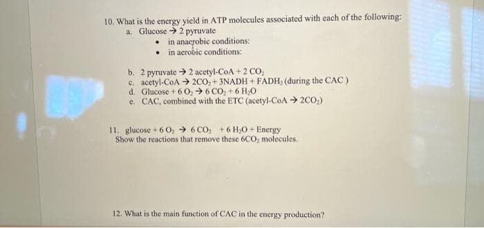 10. What is the energy yield in ATP molecules associated with each of the following:
a. Glucose > 2 pyruvate
in anacrobic conditions:
in aerobic conditions:
b. 2 pyruvate > 2 acetyl-CoA +2 CO,
c. acetyl-CoA > 2CO, + 3NADH + FADH; (during the CAC)
d. Glucose + 6 0, →6 CO, + 6 H,0
e. CAC, combined with the ETC (acetyl-CoA 2CO,)
11. glucose + 6 0, → 6 CO; +6 H,0 + Energy
Show the reactions that remove these 6CO, molecules.
12. What is the main function of CAC in the energy production?
