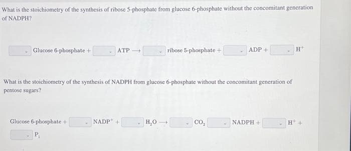 What is the stoichiometry of the synthesis of ribose 5-phosphate from glucose 6-phosphate without the concomitant generation
of NADPH?
Glucose 6-phosphate +
Glucose 6-phosphate +
ATP-
NADP+
What is the stoichiometry of the synthesis of NADPH from glucose 6-phosphate without the concomitant generation of
pentose sugars?
ribose 5-phosphate +
H₂O →
ADP+
CO₂
NADPH +
H
H+
