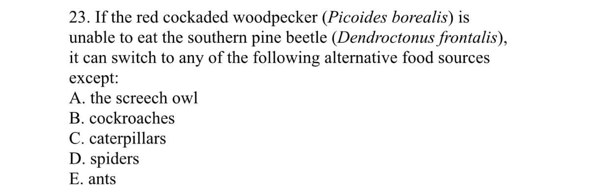 23. If the red cockaded woodpecker (Picoides borealis) is
unable to eat the southern pine beetle (Dendroctonus frontalis),
it can switch to any of the following alternative food sources
except:
A. the screech owl
B. cockroaches
C. caterpillars
D. spiders
E. ants
