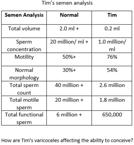 Tim's semen analysis
Semen Analysis
Normal
Tim
Total volume
2.0 ml +
0.2 ml
Sperm
20 million/ ml +
1.0 million/
concentration
ml
Motility
50%+
76%
Normal
30%+
54%
morphology
Total sperm
40 million +
2.6 million
count
Total motile
20 million +
1.8 million
sperm
Total functional
6 million +
650,000
sperm
How are Tim's varicoceles affecting the ability to conceive?
