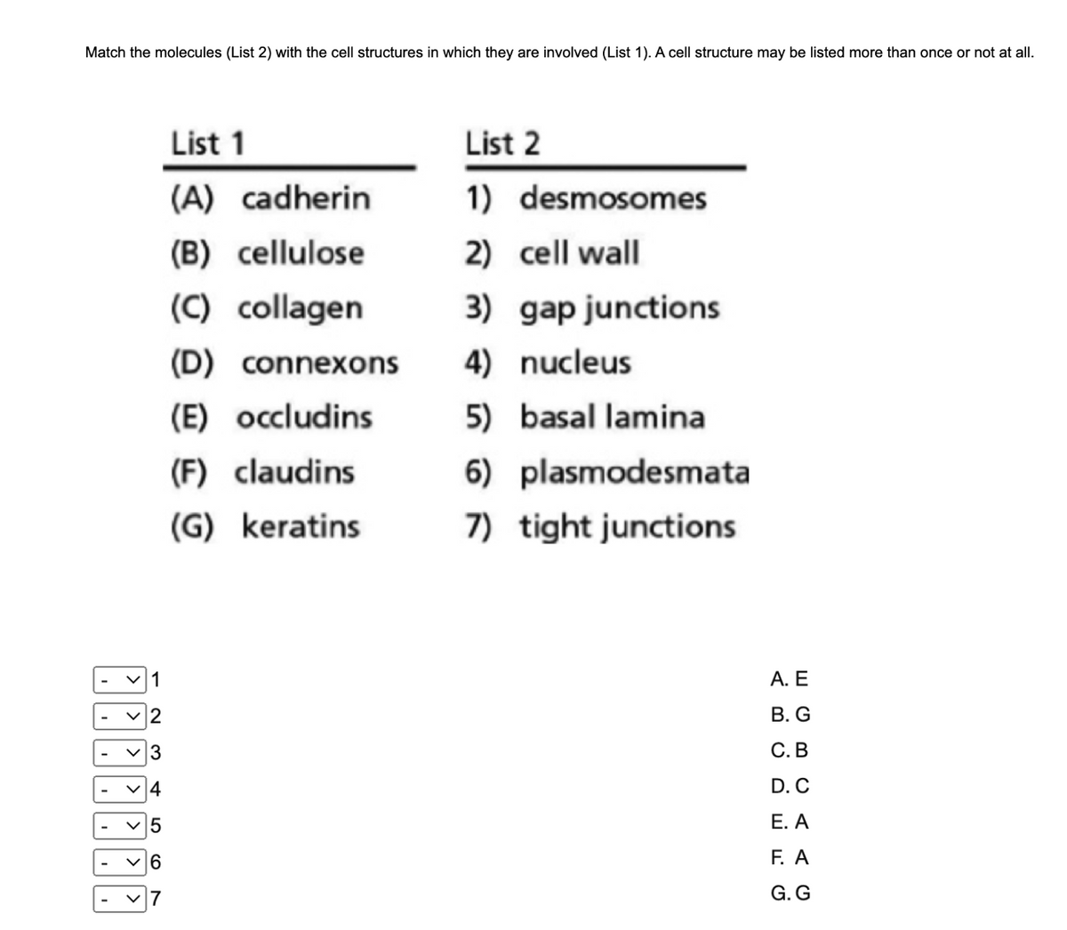 Match the molecules (List 2) with the cell structures in which they are involved (List 1). A cell structure may be listed more than once or not at all.
List 1
List 2
(A) cadherin
1) desmosomes
(B) cellulose
2) cell wall
(C) collagen
3) gap junctions
(D) connexons
4) nucleus
(E) occludins
5) basal lamina
(F) claudins
6) plasmodesmata
(G) keratins
7) tight junctions
A. E
В. G
С. В
D. C
Е. А
v6
F. A
V7
G. G
4-
