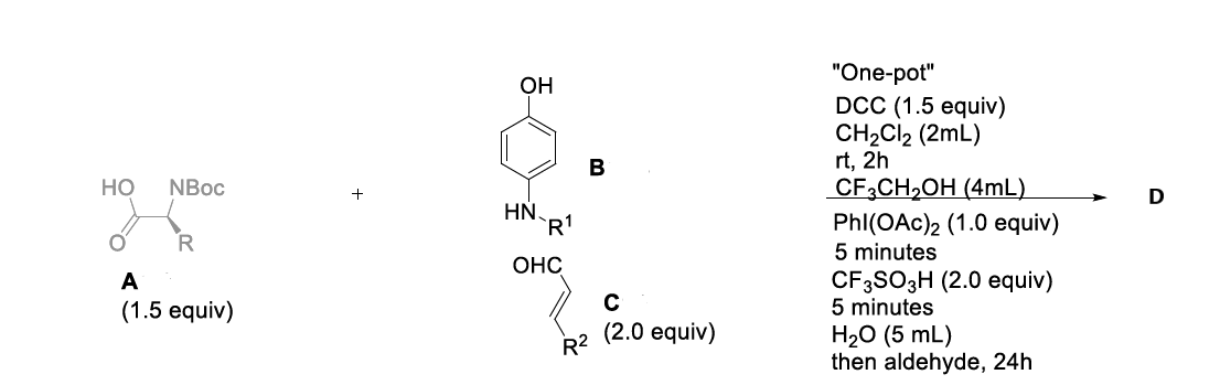"One-pot"
DCC (1.5 equiv)
CH2CI2 (2mL)
rt, 2h
CF3CH,OH (4mL)
Phl(OAc)2 (1.0 equiv)
5 minutes
OH
B
но
NBoc
+
D
`R'
ОНС
CF3SO3H (2.0 equiv)
5 minutes
A
(1.5 equiv)
(2.0 equiv)
Н2о (5 mL)
then aldehyde, 24h
R2

