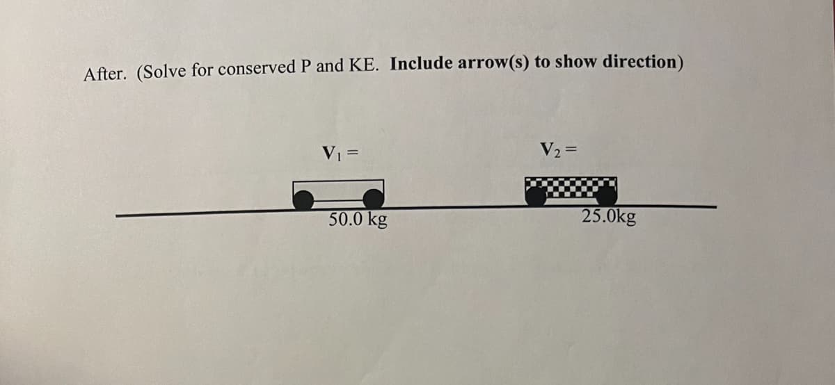 After. (Solve for conserved P and KE. Include arrow(s) to show direction)
V₁ =
50.0 kg
V₂ =
25.0kg