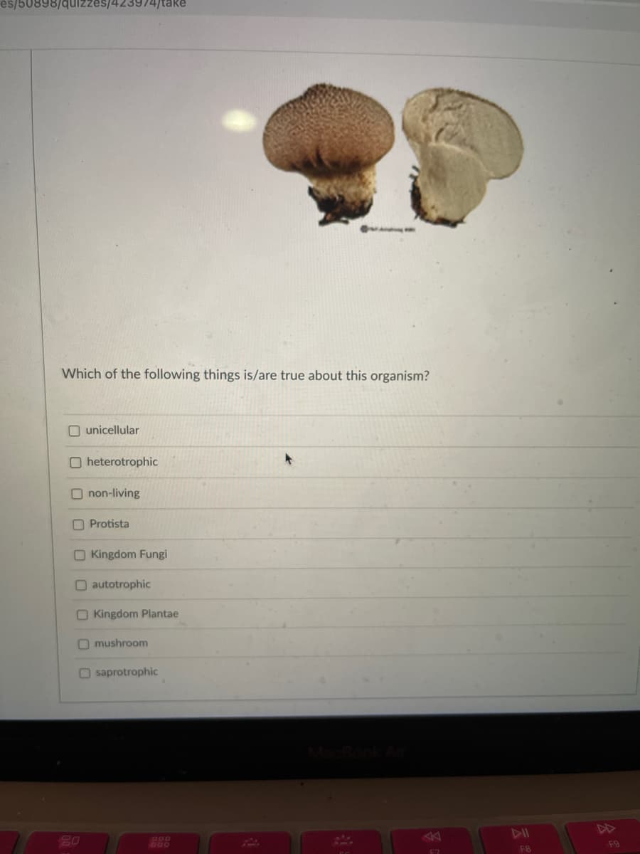 898/quizzes/4239/4/take
Which of the following things is/are true about this organism?
O unicellular
Oheterotrophic
Onon-living
Protista
Kingdom Fungi
autotrophic
Kingdom Plantae
F7
O mushroom
Osaprotrophic
20
DOD
F8
F9