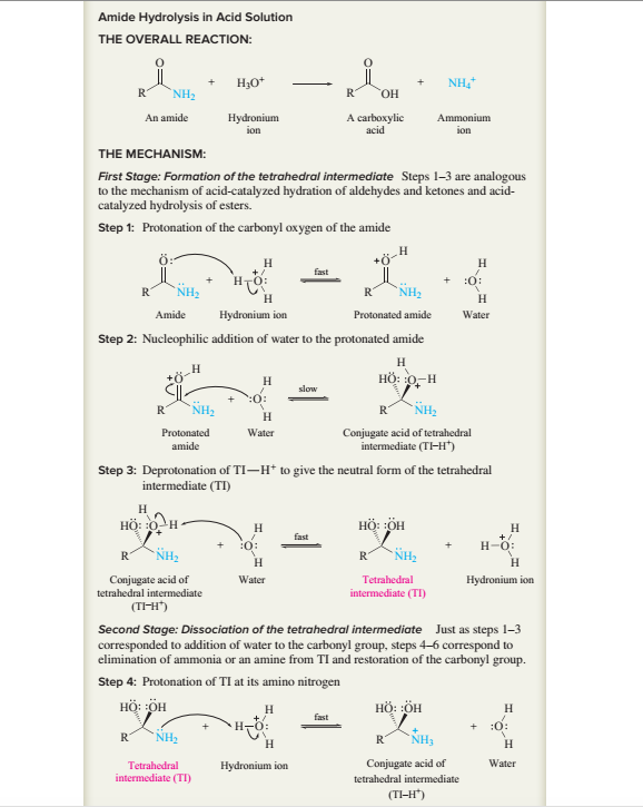 Amide Hydrolysis in Acid Solution
THE OVERALL REACTION:
H;O*
NH,
`NH2
R
HO.
An amide
Hydronium
ion
A carboxylic
acid
Ammonium
ion
THE MECHANISM:
First Stage: Formation of the tetrahedral intermediate Steps 1–3 are analogous
to the mechanism of acid-catalyzed hydration of aldehydes and ketones and acid-
catalyzed hydrolysis of esters.
Step 1: Protonation of the carbonyl oxygen of the amide
+ö-t
H
fast
+.
HTO:
:0:
NH2
`NH2
R
H.
H
Amide
Hydronium ion
Protonated amide
Water
Step 2: Nucleophilic addition of water to the protonated amide
HÖ: 0- H
slow
R
NH2
R
`NH2
H
Protonated
Water
Conjugate acid of tetrahedral
intermediate (TI-H)
amide
Step 3: Deprotonation of TI-H* to give the neutral form of the tetrahedral
intermediate (TI)
H
HÖ: 0 H
HÖ: :ÖH
H
fast
:0:
H-0:
R
NH2
R
NH2
Conjugate acid of
Water
Tetrahedral
Hydronium ion
tetrahedral intermediate
intermediate (TI)
(TI-H")
Second Stage: Dissociation of the tetrahedral intermediate Just as steps 1-3
corresponded to addition of water to the carbonyl group, steps 4-6 correspond to
elimination of ammonia or an amine from TI and restoration of the carbonyl group.
Step 4: Protonation of TI at its amino nitrogen
HÖ: ÖH
H
HÖ: ÖH
fast
R
NH2
R
NH3
Tetrahedral
Hydronium ion
Conjugate acid of
Water
intermediate (TI)
tetrahedral intermediate
(TI-H")
