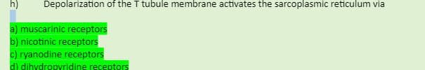 h)
Depolarization of the T tubule membrane activates the sarcoplasmic reticulum via
a) muscarinic receptors
b) nicotinic receptors
c) ryanodine receptors
d) dihydropvridine receptors
