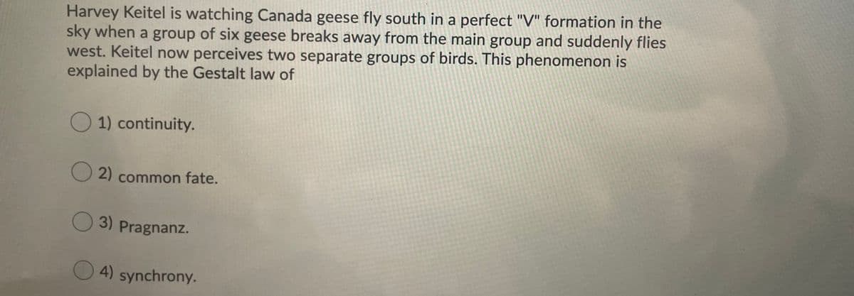 Harvey Keitel is watching Canada geese fly south in a perfect "V" formation in the
sky when a group of six geese breaks away from the main group and suddenly flies
west. Keitel now perceives two separate groups of birds. This phenomenon is
explained by the Gestalt law of
1) continuity.
2) common fate.
3) Pragnanz.
4) synchrony.
