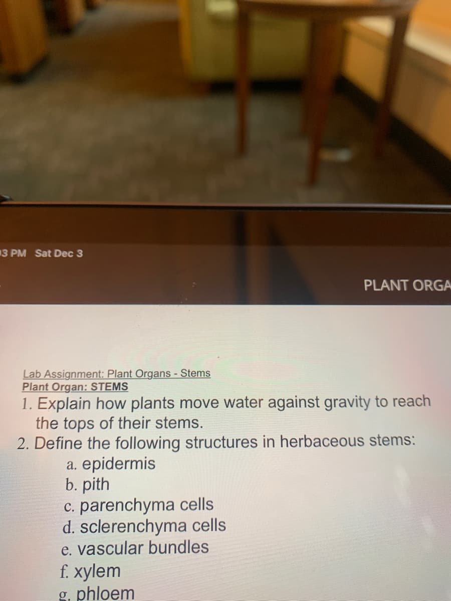 03 PM Sat Dec 3
Lab Assignment: Plant Organs - Stems
Plant Organ: STEMS
1. Explain how plants move water against gravity to reach
the tops of their stems.
2. Define the following structures in herbaceous stems:
a. epidermis
b. pith
c. parenchyma cells
d. sclerenchyma cells
e. vascular bundles
PLANT ORGA
f. xylem
g. phloem