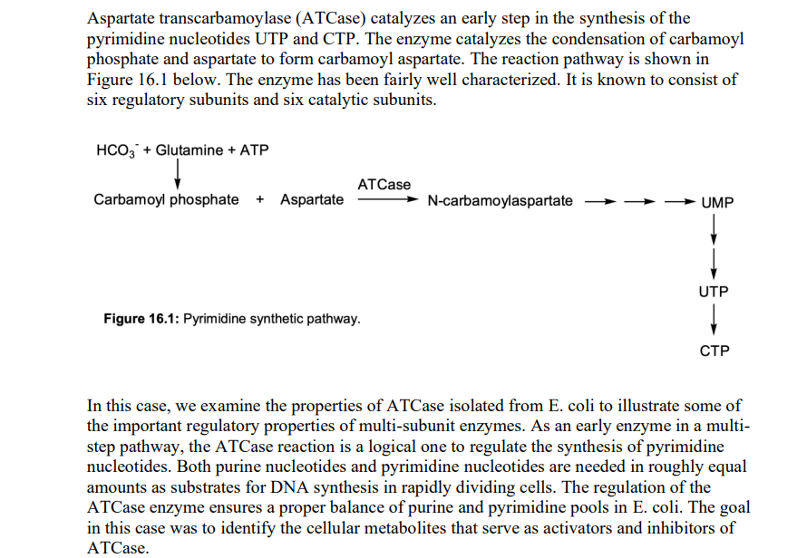 Aspartate transcarbamoylase (ATCase) catalyzes an early step in the synthesis of the
pyrimidine nucleotides UTP and CTP. The enzyme catalyzes the condensation of carbamoyl
phosphate and aspartate to form carbamoyl aspartate. The reaction pathway is shown in
Figure 16.1 below. The enzyme has been fairly well characterized. It is known to consist of
six regulatory subunits and six catalytic subunits.
HCO3 + Glutamine + ATP
Carbamoyl phosphate + Aspartate
ATCase
Figure 16.1: Pyrimidine synthetic pathway.
N-carbamoylaspartate
UMP
UTP
CTP
In this case, we examine the properties of ATCase isolated from E. coli to illustrate some of
the important regulatory properties of multi-subunit enzymes. As an early enzyme in a multi-
step pathway, the ATCase reaction is a logical one to regulate the synthesis of pyrimidine
nucleotides. Both purine nucleotides and pyrimidine nucleotides are needed in roughly equal
amounts as substrates for DNA synthesis in rapidly dividing cells. The regulation of the
ATCase enzyme ensures a proper balance of purine and pyrimidine pools in E. coli. The goal
in this case was to identify the cellular metabolites that serve as activators and inhibitors of
ATCase.