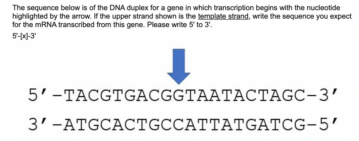 The sequence below is of the DNA duplex for a gene in which transcription begins with the nucleotide
highlighted by the arrow. If the upper strand shown is the template strand, write the sequence you expect
for the mRNA transcribed from this gene. Please write 5' to 3'.
5'-[x]-3'
5'-TACGTGACGGTAATACTAGC-3'
3'-ATGCACTGCCATTATGATCG-5'