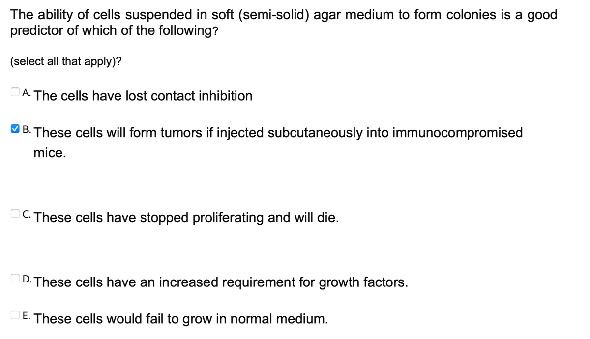 The ability of cells suspended in soft (semi-solid) agar medium to form colonies is a good
predictor of which of the following?
(select all that apply)?
A. The cells have lost contact inhibition
B. These cells will form tumors if injected subcutaneously into immunocompromised
mice.
C. These cells have stopped proliferating and will die.
D. These cells have an increased requirement for growth factors.
E. These cells would fail to grow in normal medium.