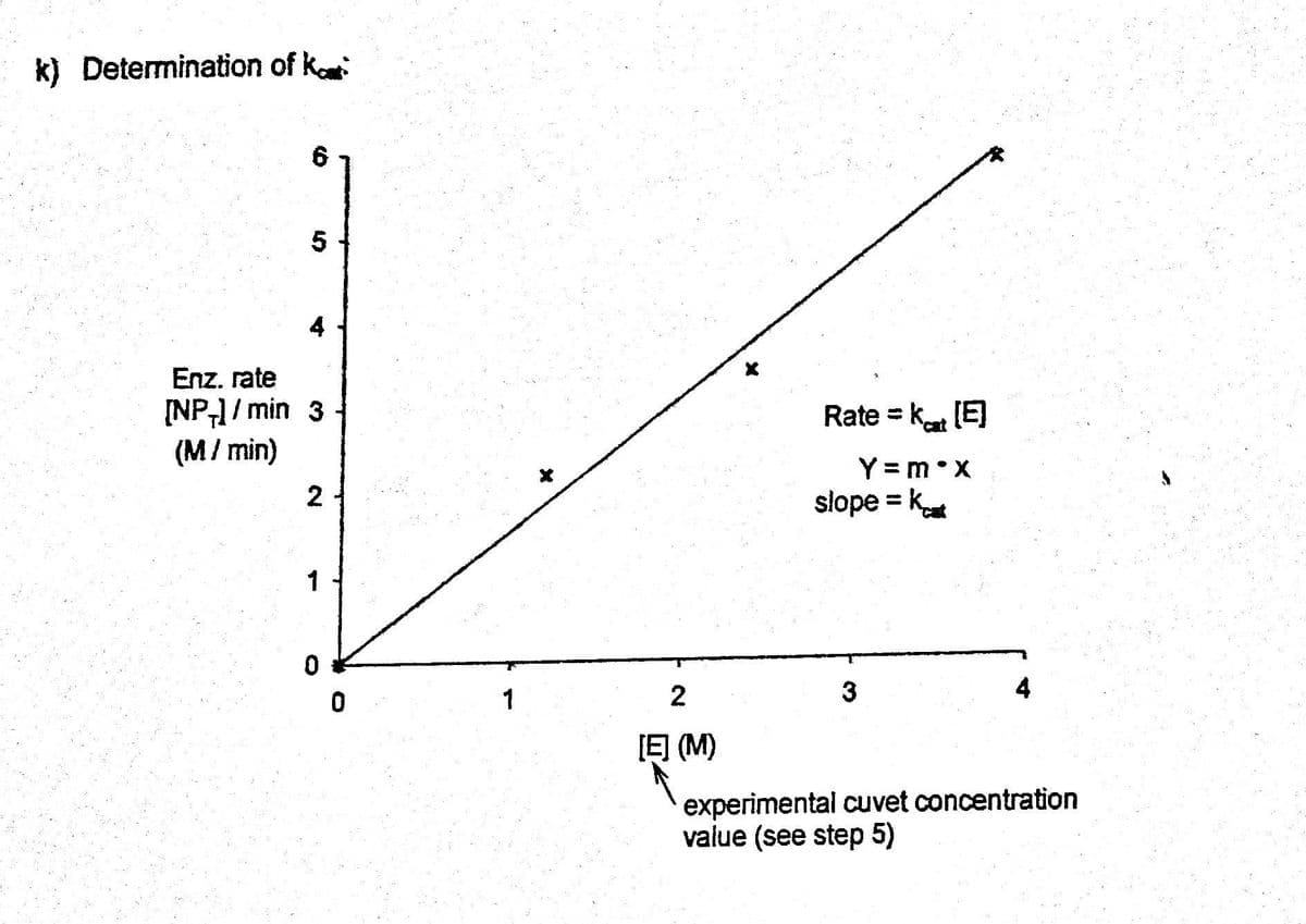 k) Determination of kat
5
4
Enz. rate
[NP+]/min 3
(M / min)
2
0
0
1
2
[E] (M)
Rate = kot [E]
Y=m*x
slope = k
3
experimental cuvet concentration
value (see step 5)