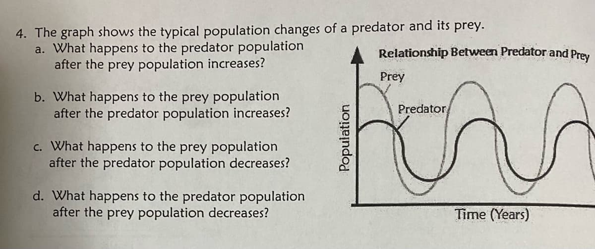 4. The graph shows the typical population changes of a predator and its prey.
a. What happens to the predator population
after the prey population increases?
b. What happens to the prey population
after the predator population increases?
c. What happens to the prey population
after the predator population decreases?
d. What happens to the predator population
after the prey population decreases?
Population
Relationship Between Predator and Prey
Prey
ira
Predator
Time (Years)