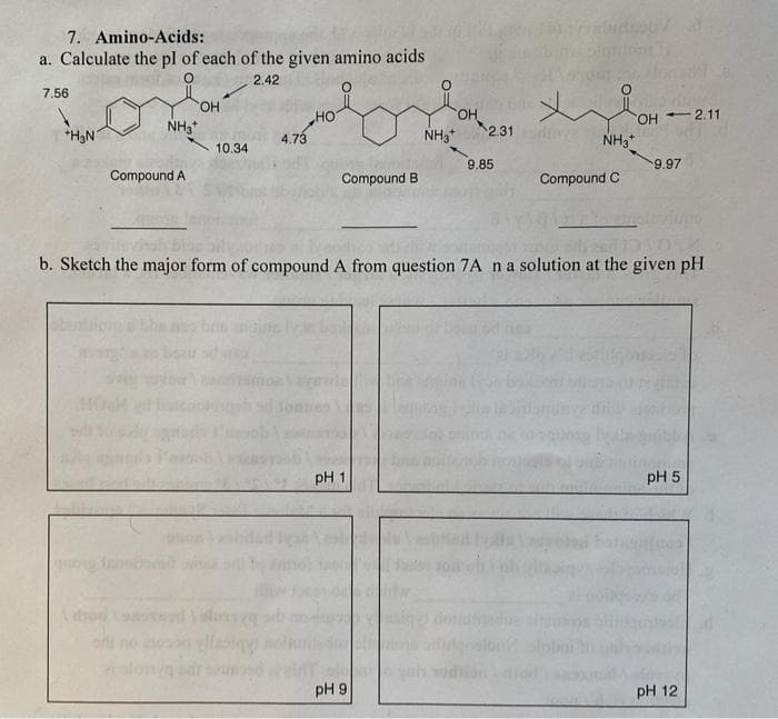 7. Amino-Acids:
a. Calculate the pl of each of the given amino acids
2.42
7.56
OH
o
HOT
NH3*
OH -2.11
4.73
10.34
9.85
-9.97
Compound A
Compound B
Compound C
b. Sketch the major form of compound A from question 7A n a solution at the given pH
pH 1
pH 5
thod osvand Valorizą od
glasing not
alongg
+H₂N
NH3*
duastic
OH
pH 9
2.31
NH3*
pH 12