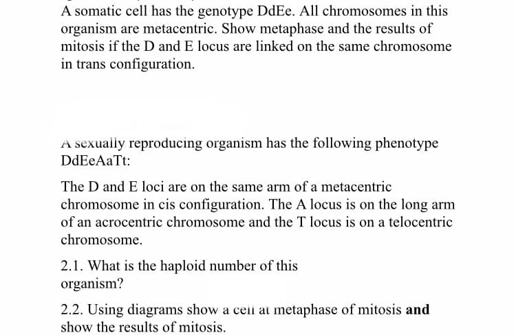 A somatic cell has the genotype DdEe. All chromosomes in this
organism are metacentric. Show metaphase and the results of
mitosis if the D and E locus are linked on the same chromosome
in trans configuration.
A sexually reproducing organism has the following phenotype
DdEeAaTt:
The D and E loci are on the same arm of a metacentric
chromosome in cis configuration. The A locus is on the long arm
of an acrocentric chromosome and the T locus is on a telocentric
chromosome.
2.1. What is the haploid number of this
organism?
2.2. Using diagrams show a ceii at metaphase of mitosis and
show the results of mitosis.

