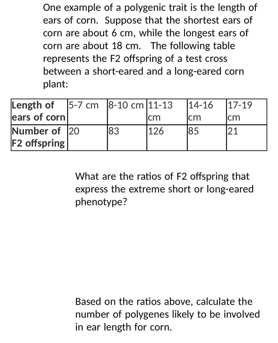 One example of a polygenic trait is the length of
ears of corn. Suppose that the shortest ears of
corn are about 6 cm, while the longest ears of
corn are about 18 cm. The following table
represents the F2 offspring of a test cross
between a short-eared and a long-eared corn
plant:
Length of
5-7 cm
8-10 cm |11-13
14-16
|17-19
ears of corn
cm
cm
cm
Number of 20
F2 offspring
83
|126
85
21
What are the ratios of F2 offspring that
express the extreme short or long-eared
phenotype?
Based on the ratios above, calculate the
number of polygenes likely to be involved
in ear length for corn.
