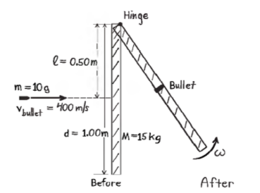 Hinge
l= 0.50m
m =10g
Bullet
Vbulet = 100 m/s
d= 1.00mM-15 kg
Before
After
