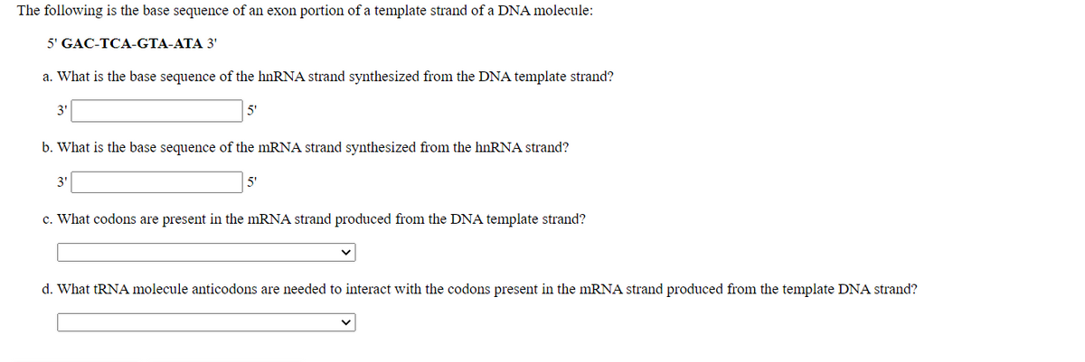 The following is the base sequence of an exon portion of a template strand of a DNA molecule:
5' GAC-TCA-GTA-ATA 3'
a. What is the base sequence of the hnRNA strand synthesized from the DNA template strand?
3'
5'
b. What is the base sequence of the mRNA strand synthesized from the hnRNA strand?
3'
5'
c. What codons are present in the mRNA strand produced from the DNA template strand?
d. What TRNA molecule anticodons are needed to interact with the codons present in the MRNA strand produced from the template DNA strand?
