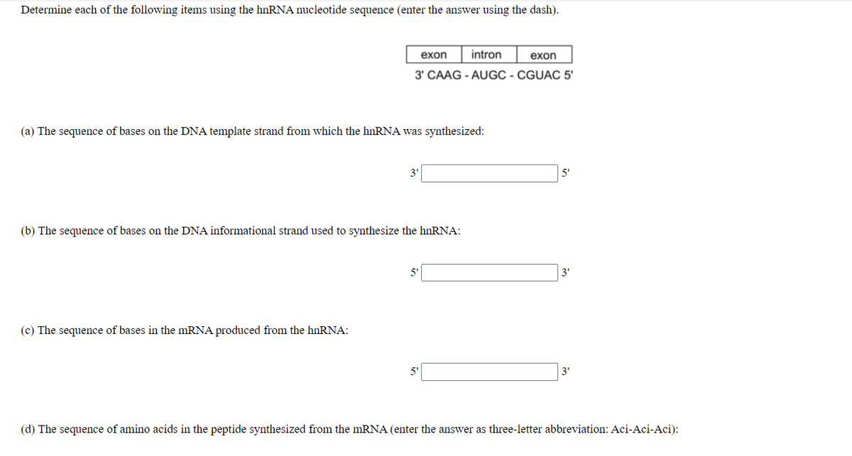 Determine each of the following items using the hnRNA nucleotide sequence (enter the answer using the dash).
exon
intron
exon
3' CAAG - AUGC - CGUAC 5'
(a) The sequence of bases on the DNA template strand from which the hnRNA was synthesized:
3'
5'
(b) The sequence of bases on the DNA informational strand used to synthesize the hnRNA:
5'
3'
(c) The sequence of bases in the mRNA produced from the hnRNA:
3'
(d) The sequence of amino acids in the peptide synthesized from the mRNA (enter the answer as three-letter abbreviation: Aci-Aci-Aci):
