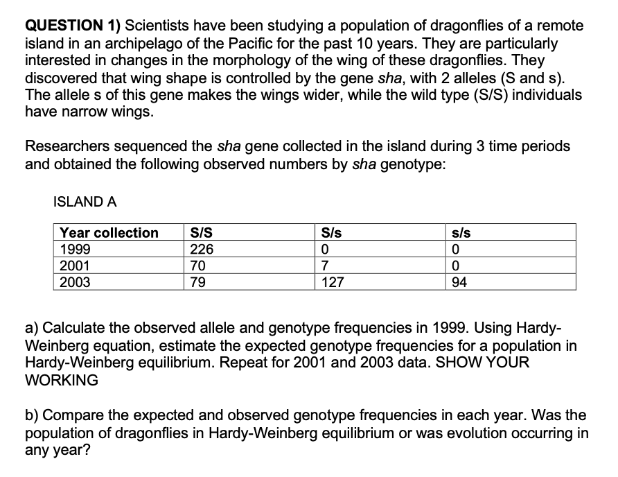 QUESTION 1) Scientists have been studying a population of dragonflies of a remote
island in an archipelago of the Pacific for the past 10 years. They are particularly
interested in changes in the morphology of the wing of these dragonflies. They
discovered that wing shape is controlled by the gene sha, with 2 alleles (S and s).
The allele s of this gene makes the wings wider, while the wild type (S/S) individuals
have narrow wings.
Researchers sequenced the sha gene collected in the island during 3 time periods
and obtained the following observed numbers by sha genotype:
ISLAND A
Year collection
S/S
S/s
s/s
1999
226
0
0
2001
70
7
0
2003
79
127
94
a) Calculate the observed allele and genotype frequencies in 1999. Using Hardy-
Weinberg equation, estimate the expected genotype frequencies for a population in
Hardy-Weinberg equilibrium. Repeat for 2001 and 2003 data. SHOW YOUR
WORKING
b) Compare the expected and observed genotype frequencies in each year. Was the
population of dragonflies in Hardy-Weinberg equilibrium or was evolution occurring in
any year?