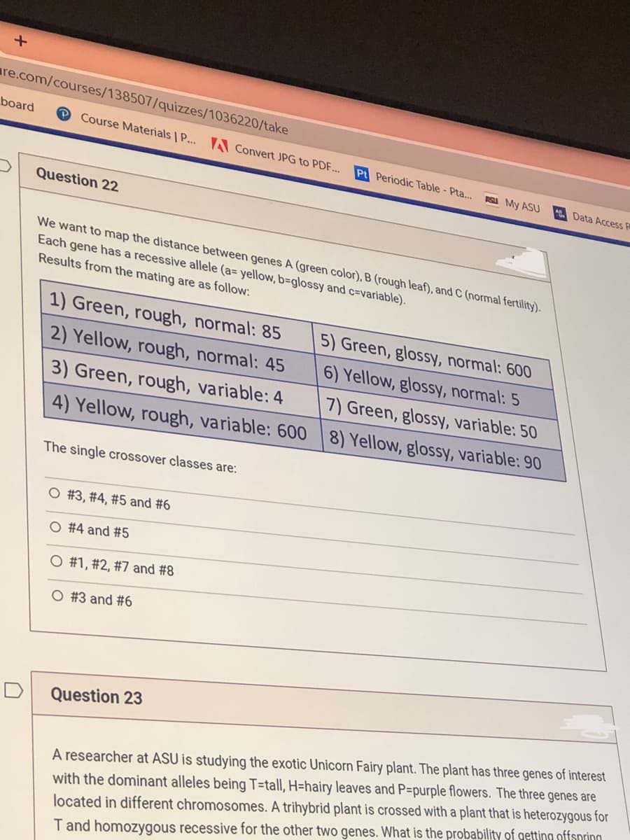 +
re.com/courses/138507/quizzes/1036220/take
board P Course Materials | P... A Convert JPG to PDF...
Question 22
We want to map the distance between genes A (green color), B (rough leaf), and C (normal fertility).
Each gene has a recessive allele (a= yellow, b-glossy and c-variable).
Results from the mating are as follow:
1) Green, rough, normal: 85
2) Yellow, rough, normal: 45
3) Green, rough, variable: 4
4) Yellow, rough, variable: 600
The single crossover classes are:
O #3, #4, # 5 and #6
O #4 and #5
O #1, #2, #7 and #8
O #3 and #6
Pt Periodic Table - Pta... SU My ASU
Question 23
5) Green, glossy, normal: 600
6) Yellow, glossy, normal: 5
7) Green, glossy, variable: 50
8) Yellow, glossy, variable: 90
Data Access P
A researcher at ASU is studying the exotic Unicorn Fairy plant. The plant has three genes of interest
with the dominant alleles being T-tall, H-hairy leaves and P=purple flowers. The three genes are
located in different chromosomes. A trihybrid plant is crossed with a plant that is heterozygous for
T and homozygous recessive for the other two genes. What is the probability of getting offspring