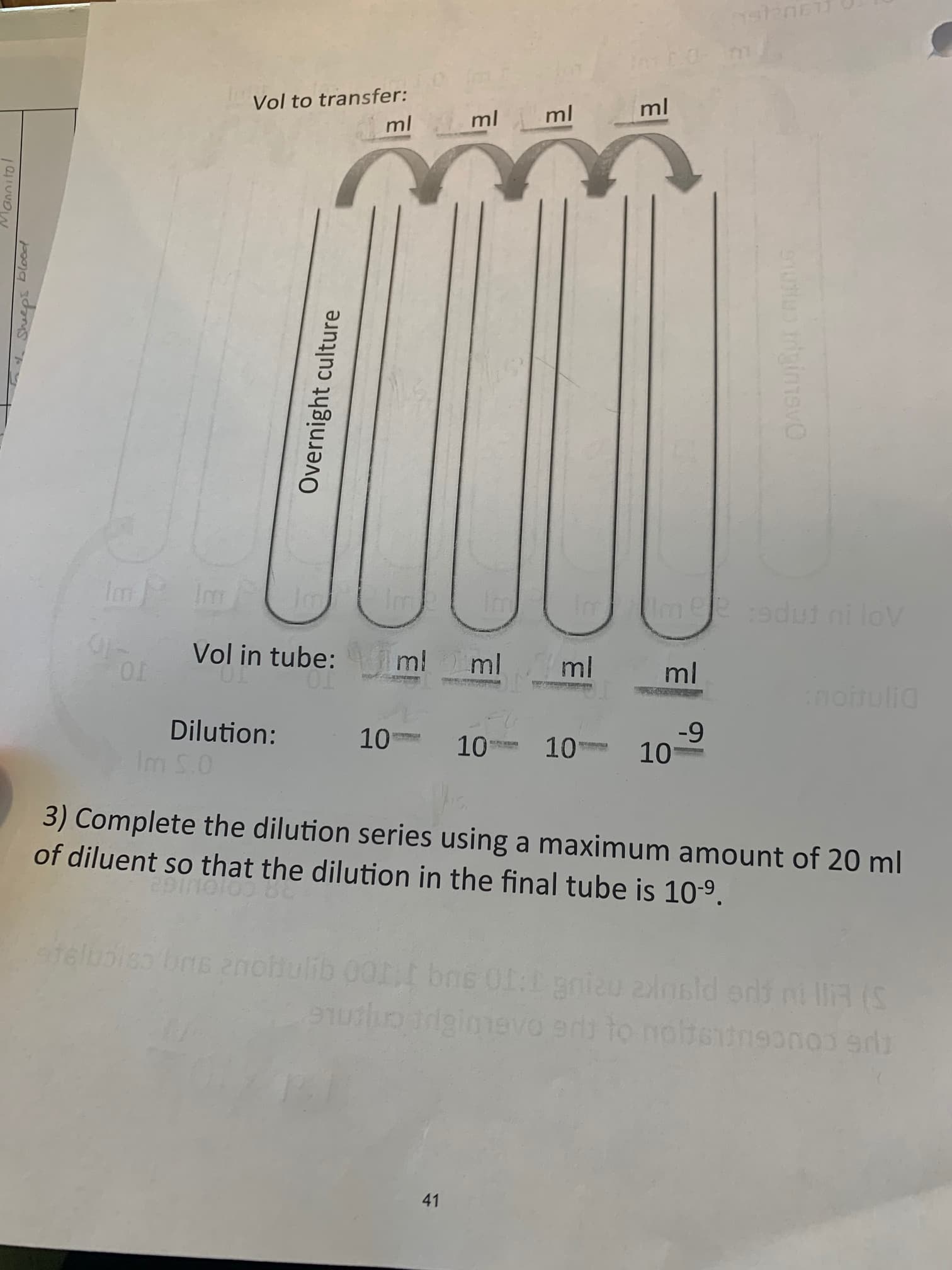 Vol to transfer:
ml
ml
ml
ml
Im Im
Im
Imeedut ni lov
Vol in tube: ml ml
ml
ml
TO.
notulia
Dilution:
Im S.0
-9
10
10
10
10
3) Complete the dilution series using a maximum amount of 20 ml
of diluent so that the dilution in the final tube is 10-9.
afelusisa bns anchulib 00t bne 011 gniau 2insld erd ni llR (S
gimevo e to nobetneonos er
41
Mannitol
Sheeps blood
Overnight culture
