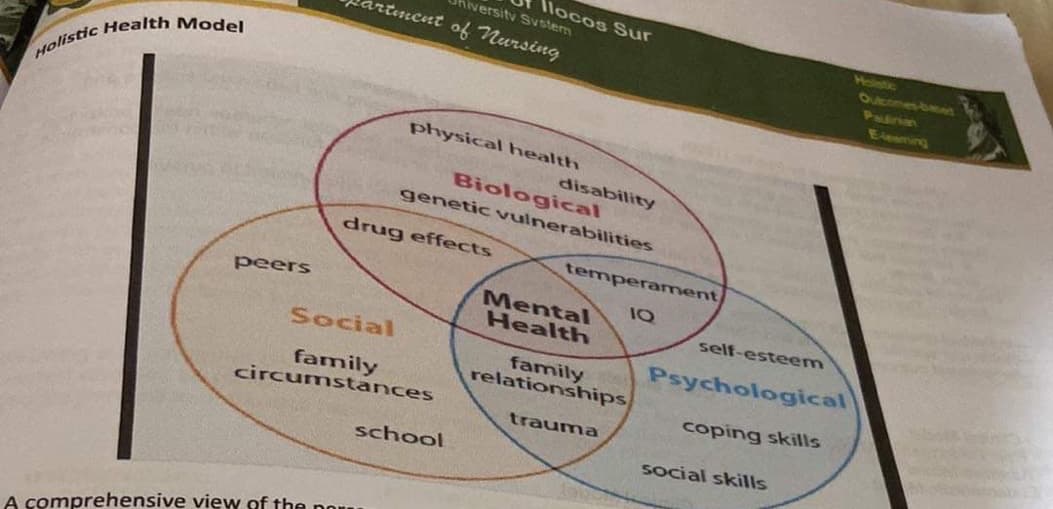 Holistic Health Model
peers
versity System
rtment of nursing
A comprehensive view of the
physical health
Social
family
circumstances
Ilocos Sur
drug effects
Biological
genetic vulnerabilities
school
disability
temperament
1Q
Mental
Health
family
relationships
trauma
self-esteem
Psychological
coping skills
social skills
Outcomes-based
Paulinian