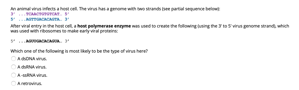 An animal virus infects a host cell. The virus has a genome with two strands (see partial sequence below):
3'
ТСААСТGTGTCAT.. 5'
5'
AGTTGACACAGTA... 3'
After viral entry in the host cell, a host polymerase enzyme was used to create the following (using the 3' to 5' virus genome strand), which
was used with ribosomes to make early viral proteins:
5' ...AGUUGACACAGUA... 3'
Which one of the following is most likely to be the type of virus here?
A dsDNA virus.
A dsRNA virus.
A -SSRNA virus.
A retrovirus.
