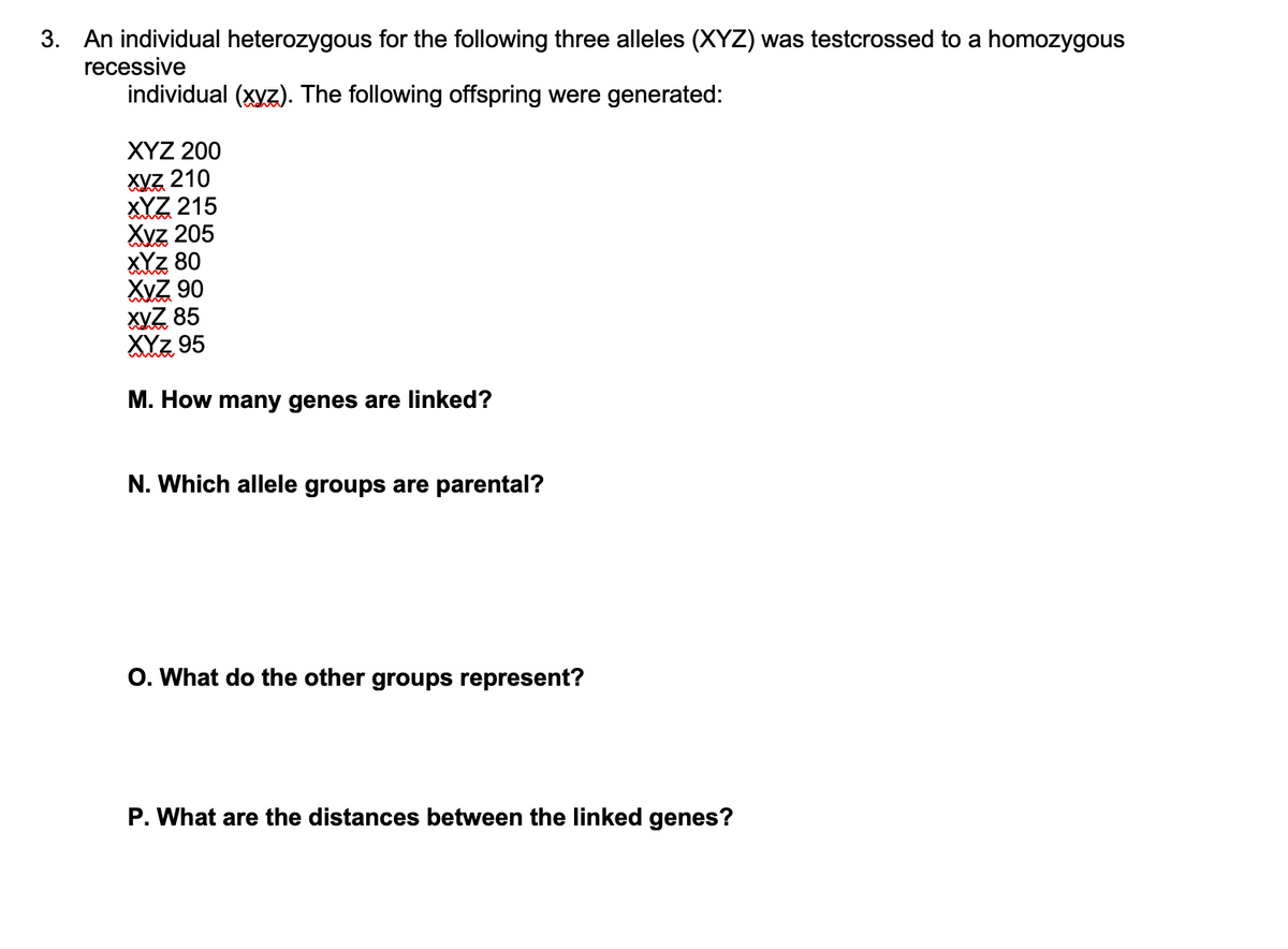 3. An individual heterozygous for the following three alleles (XYZ) was testcrossed to a homozygous
recessive
individual (xyz). The following offspring were generated:
XYZ 200
XYZ 210
XYZ 215
Xvz 205
XYZ 80
XVZ 90
XYZ 85
XYZ 95
M. How many genes are linked?
N. Which allele groups are parental?
O. What do the other groups represent?
P. What are the distances between the linked genes?