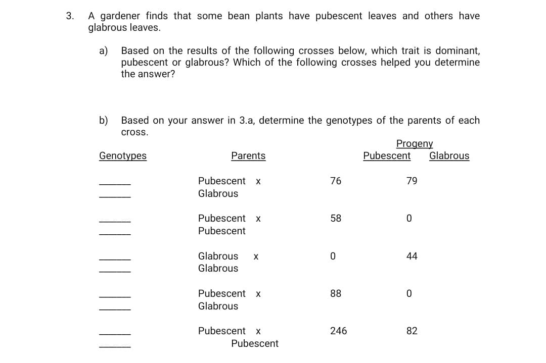A gardener finds that some bean plants have pubescent leaves and others have
glabrous leaves.
3.
a)
Based on the results of the following crosses below, which trait is dominant,
pubescent or glabrous? Which of the following crosses helped you determine
the answer?
b)
Based on your answer in 3.a, determine the genotypes of the parents of each
cross.
Progeny
Pubescent
Genotypes
Parents
Glabrous
Pubescent x
76
79
Glabrous
Pubescent x
58
Pubescent
Glabrous
44
Glabrous
Pubescent x
88
Glabrous
Pubescent
X
246
82
Pubescent
||
