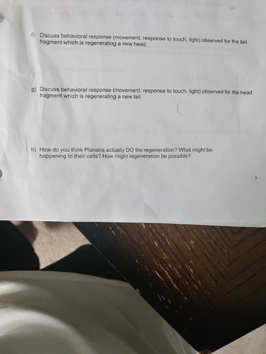 f) Discuss behavioral response (movement, response to touch, light) observed for the tail
fragment which is regenerating a new head.
g) Discuss behavioral response (movement, response to touch, light) observed for the head
fragment which is regenerating a new tail.
h) How do you think Planaria actually DO the regeneration? What might be
happening to their cells? How might regeneration be possible?
