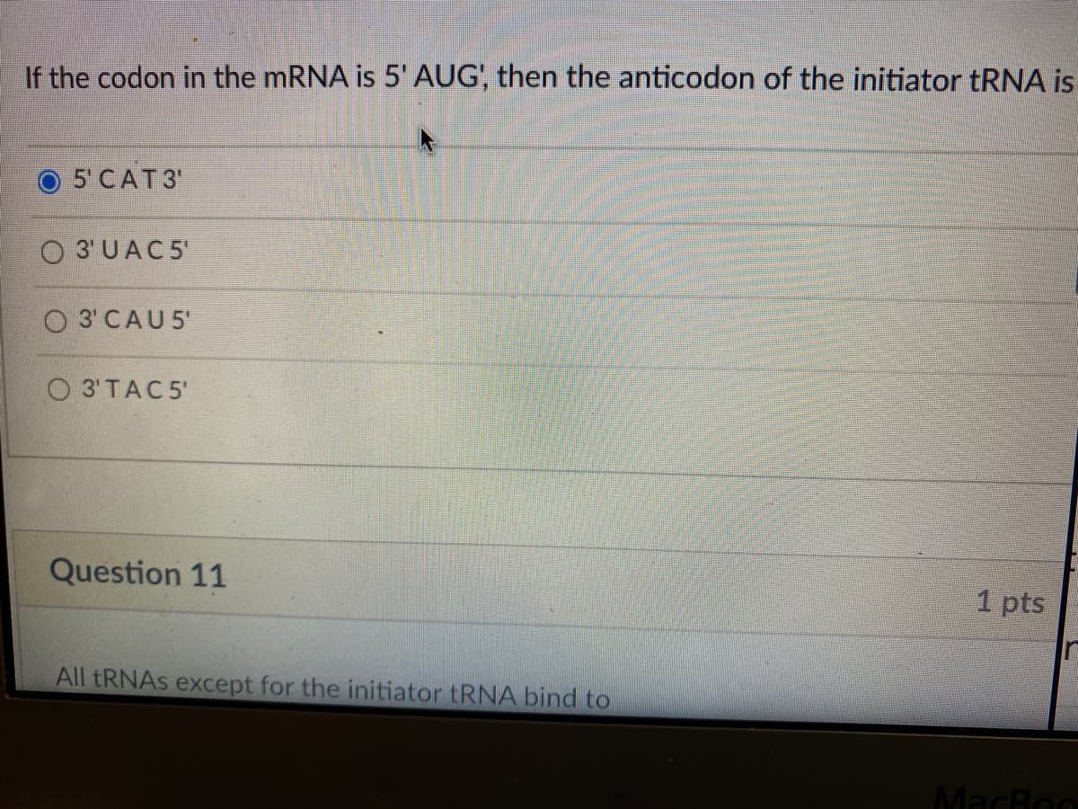 If the codon in the MRNA is 5' AUG', then the anticodon of the initiator tRNA is
O 5'CAT3'
O 3' UAC5'
O 3 CAU5
O 3'TAC5
Question 11
1 pts
All tRNAS except for the initiator tRNA bind to
MacBoo
