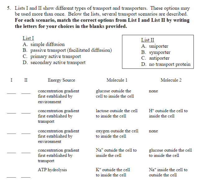 5. Lists I and II show different types of transport and transporters. These options may
be used more than once. Below the lists, several transport scenarios are described.
For each scenario, match the correct options from List I and List II by writing
the letters for your choices in the blanks provided.
List I
A. simple diffusion
B. passive transport (facilitated diffusion)
C. primary active transport
D. secondary active transport
III
Energy Source
concentration gradient
first established by
environment
concentration gradient
first established by
transport
concentration gradient
first established by
environment
concentration gradient
first established by
transport
ATP hydrolysis
Molecule 1
glucose outside the
cell to inside the cell
lactose outside the cell
to inside the cell
oxygen outside the cell
to inside the cell
Na outside the cell to
inside the cell
K* outside the cell
to inside the cell
List II
A. uniporter
B. symporter
C. antiporter
D. no transport protein
none
Molecule 2
H+ outside the cell to
inside the cell
none
glucose outside the cell
to inside the cell
Nat inside the cell to
outside the cell