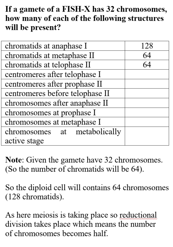 If a gamete of a FISH-X has 32 chromosomes,
how many of each of the following structures
will be present?
а
chromatids at anaphase I
chromatids at metaphase II
chromatids at telophase II
centromeres after telophase I
centromeres after prophase II
centromeres before telophase II
chromosomes after anaphase II
chromosomes at prophase I
chromosomes at metaphase I
at metabolically
128
64
64
chromosomes
active stage
Note: Given the gamete have 32 chromosomes.
(So the number of chromatids will be 64).
So the diploid cell will contains 64 chromosomes
(128 chromatids).
As here meiosis is taking place so reductional
division takes place which means the number
of chromosomes becomes half.
