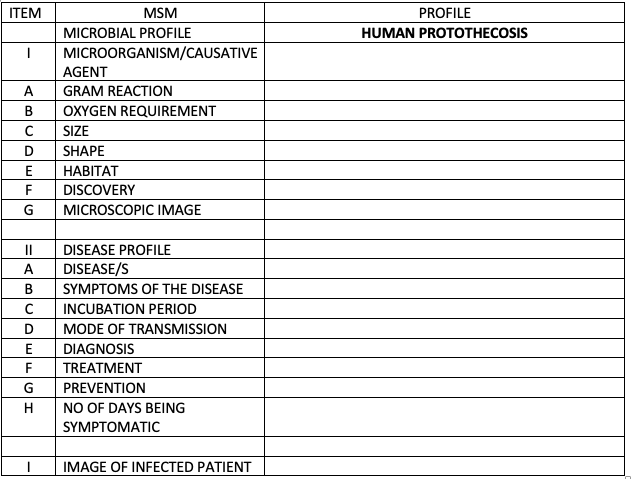 ITEM
MSM
PROFILE
MICROBIAL PROFILE
HUMAN PROTOTHECOSIS
MICROORGANISM/CAUSATIVE
AGENT
A
GRAM REACTION
B
OXYGEN REQUIREMENT
SIZE
D
SHAPE
E
НАВIТАТ
F
DISCOVERY
G
MICROSCOPIC IMAGE
DISEASE PROFILE
DISEASE/S
A
B
SYMPTOMS OF THE DISEASE
INCUBATION PERIOD
D
MODE OF TRANSMISSION
E
DIAGNOSIS
F
TREATMENT
G
PREVENTION
H
NO OF DAYS BEING
SYMPTOMATIC
IMAGE OF INFECTED PATIENT
