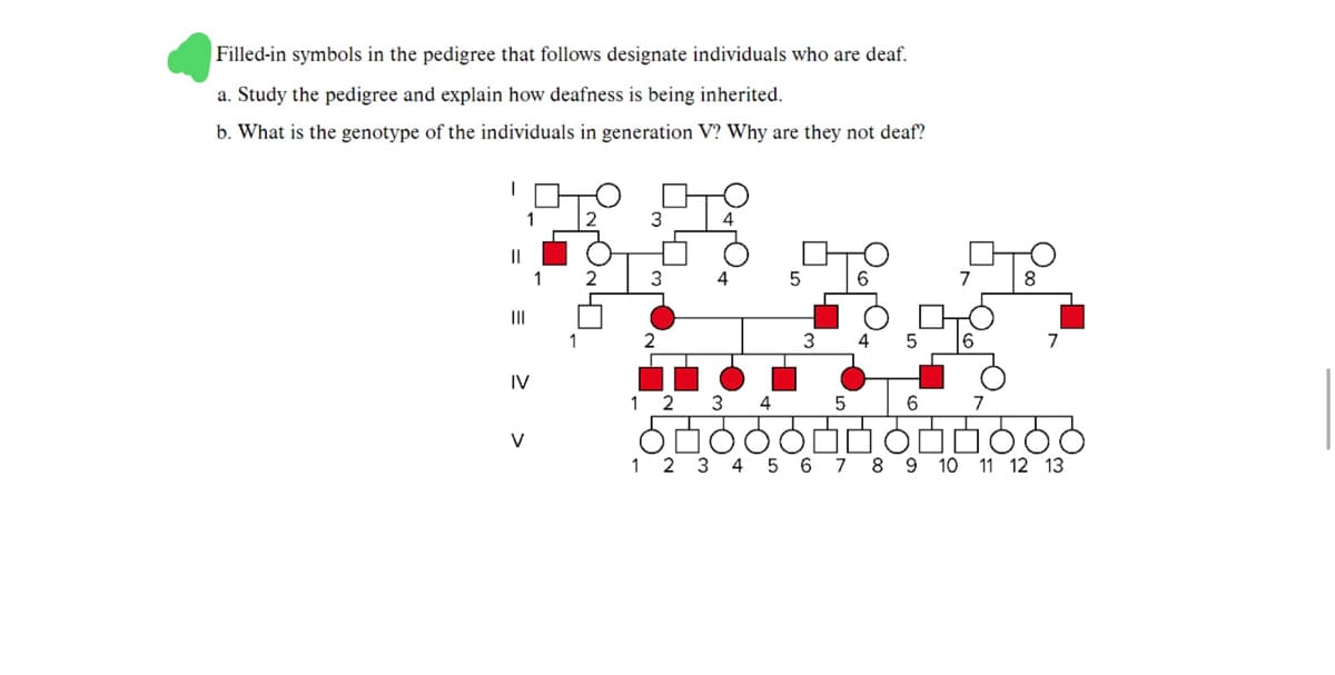 Filled-in symbols in the pedigree that follows designate individuals who are deaf.
a. Study the pedigree and explain how deafness is being inherited.
b. What is the genotype of the individuals in generation V? Why are they not deaf?
I
IV
V
1
2
1 2
4
5
5
6
7
10 11 12 13