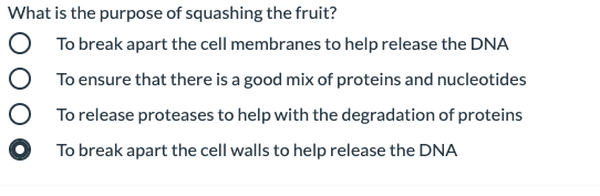 What is the purpose of squashing the fruit?
To break apart the cell membranes to help release the DNA
To ensure that there is a good mix of proteins and nucleotides
To release proteases to help with the degradation of proteins
O To break apart the cell walls to help release the DNA
