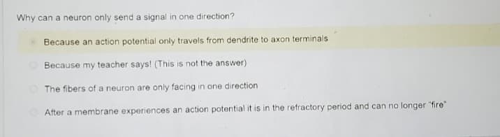Why can a neuron only send a signal in one direction?
Because an action potential only travels from dendrite to axon terminals
Because my teacher says! (This is not the answer)
The fibers of a neuron are only facing in one direction.
After a membrane experiences an action potential it is in the refractory period and can no longer "fire"