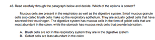 46. Read carefuly through the paragraph below and decide. Which of the options is corecr?
Mucous cels are present in the respiratory as well as he digestive system. Small mucous granule
cells also caled brush cells make up the respiratory epithelium. They are actualy goblet cels that have
secreted their muoinogen. The digestive system has mucous cells in the form of goblet cellis that are
most abundant in the colon, while the stomach has mucous neck cells that provide lubrication.
A Brush cels are not in the respiratory system hey are in the digestive system
B. Goblet cells are least abundant in the colon
