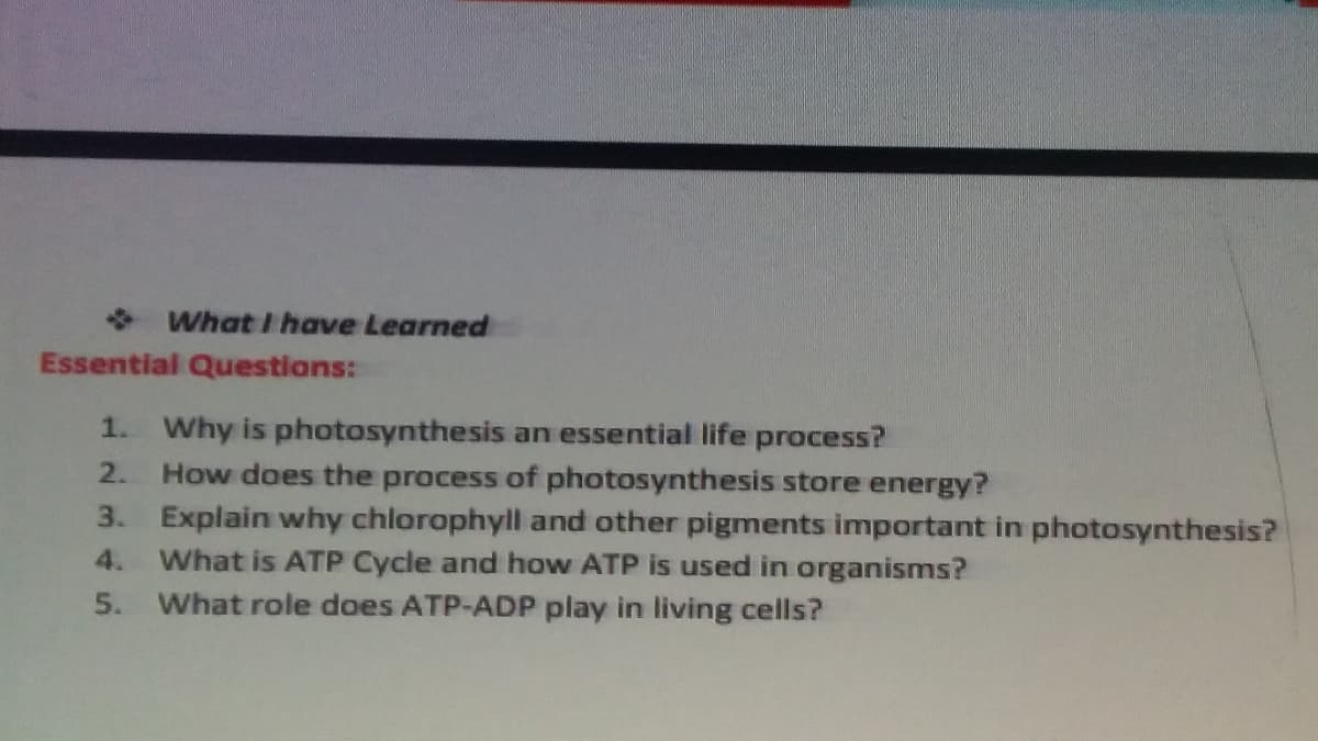 What I have Learned
Essential Questions:
1. Why is photosynthesis an essential life process?
How does the process of photosynthesis store energy?
3. Explain why chlorophyll and other pigments important in photosynthesis?
4. What is ATP Cycle and how ATP is used in organisms?
5. What role does ATP-ADP play in living cells?
2.
