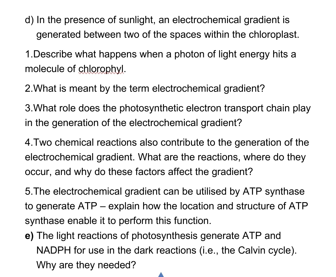 d) In the presence of sunlight, an electrochemical gradient is
generated between two of the spaces within the chloroplast.
1.Describe what happens when a photon of light energy hits a
molecule of chlorophyl.
2. What is meant by the term electrochemical gradient?
3.What role does the photosynthetic electron transport chain play
in the generation of the electrochemical gradient?
4. Two chemical reactions also contribute to the generation of the
electrochemical gradient. What are the reactions, where do they
occur, and why do these factors affect the gradient?
5. The electrochemical gradient can be utilised by ATP synthase
to generate ATP - explain how the location and structure of ATP
synthase enable it to perform this function.
e) The light reactions of photosynthesis generate ATP and
NADPH for use in the dark reactions (i.e., the Calvin cycle).
Why are they needed?