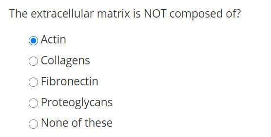 The extracellular matrix is NOT composed of?
OActin
O Collagens
Fibronectin
O Proteoglycans
O None of these
