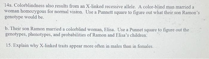 14a. Colorblindness also results from an X-linked recessive allele. A color-blind man married a
woman homozygous for normal vision. Use a Punnett square to figure out what their son Ramon's
genotype would be.
b. Their son Ramon married a colorblind woman, Elisa. Use a Punnet square to figure out the
genotypes, phenotypes, and probabilities of Ramon and Elisa's children:
15. Explain why X-linked traits appear more often in males than in females.
